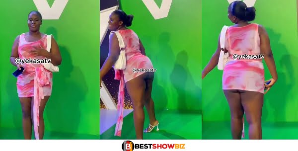 (Video) Pantless Lady shows her raw nyᾶsh on the red carpet during VGMA