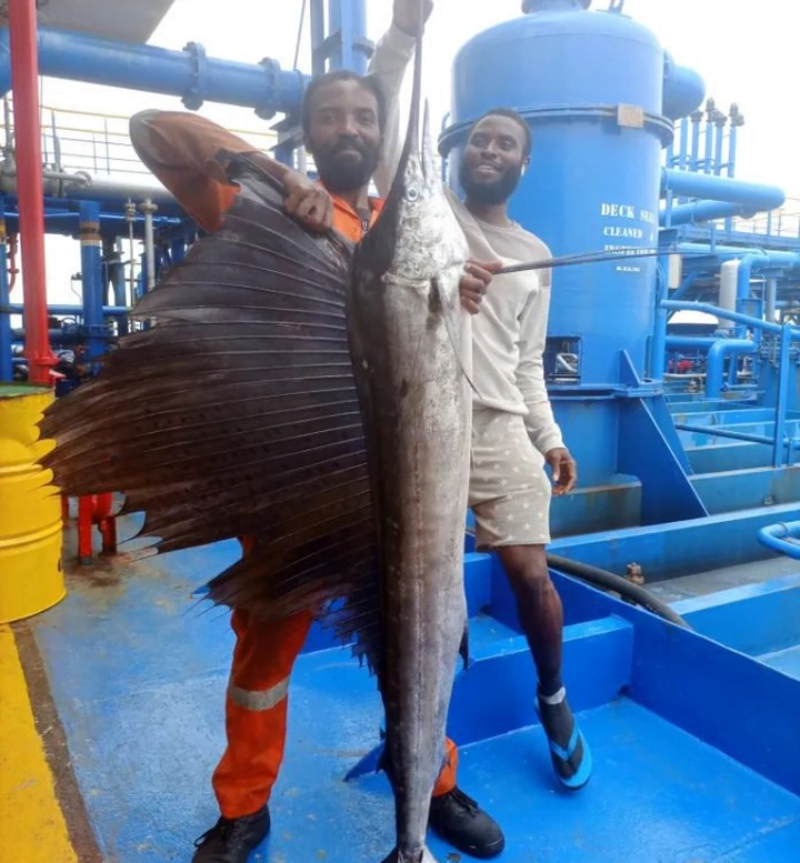 Nigerian men who caught world’s fastest fish and ate it with pepper soup cries out after knowing it was worth over $1,500