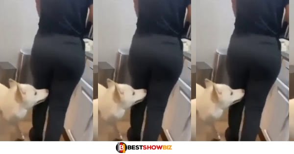 New Video Of A Dog Enjoying Nyᾶsh Stirs Online