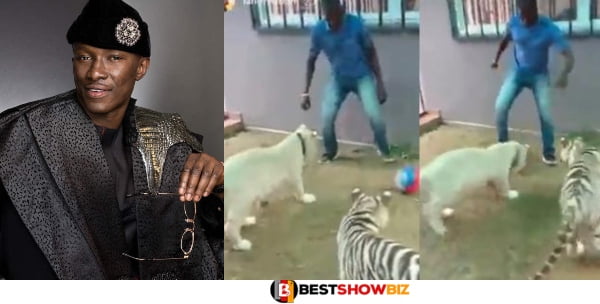 Ghanaian Millionaire, Cheddar shares a video of his tigers playing football
