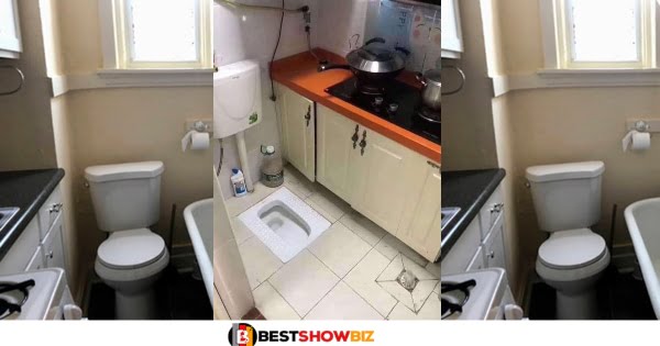 See Reaction as a video of an Apartment with Toilet and Kitchen in the Same Place surfaces