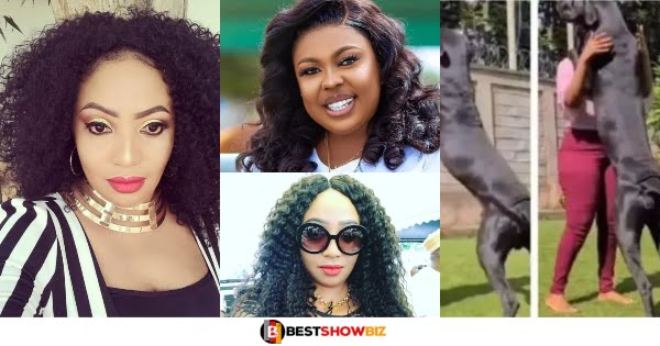 "It is true that Afia Schwar slept with a dog"- Leaked audio of Diamon Appiah Exposing her best friend surfaces online.