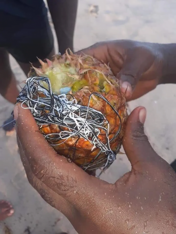 Photos of a man and woman found inside a pineapple that washed up from the sea go viral