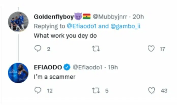 ‘I’m a scammer’ – Efia Odo finally reveals her source of income