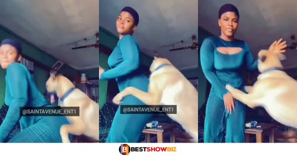 Dog tries hard to 'knack' slay queen in a viral video after the lady tw3rked infront of it. (watch)