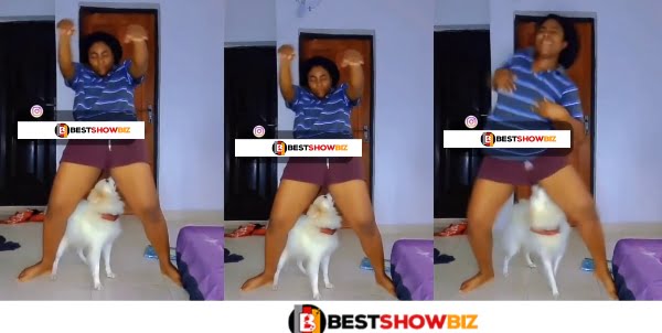 See What This Dog Was Recorded Doing To This Lady - Video