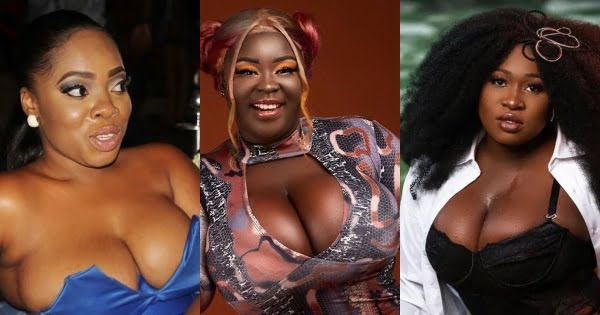 See pictures of Ghanaian Celebrities Who Took Social media by storm with photos of their massive melons