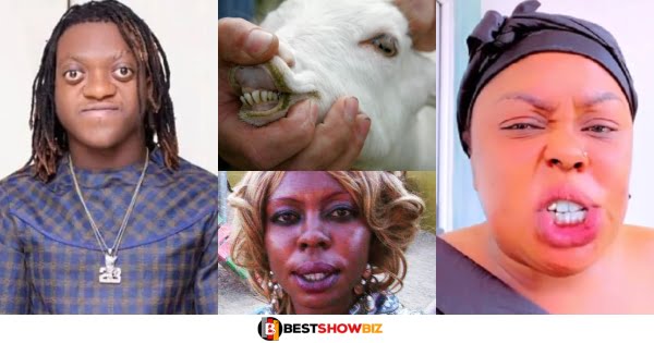"I will rather kiss a goat for 50 cedis than kiss Afia Schwar for 1 billion"- Sumsum Ahoufe