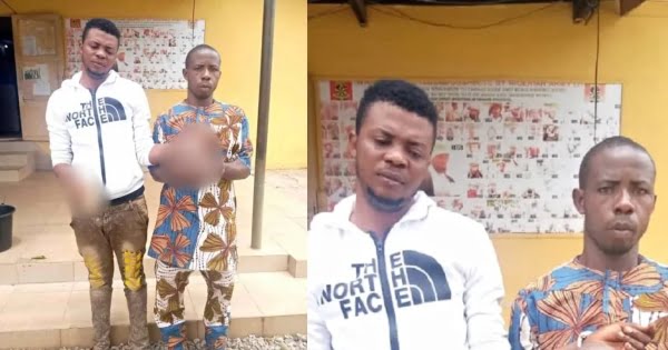 Taxi driver and his friend arrested after human head was found in their car (see details)
