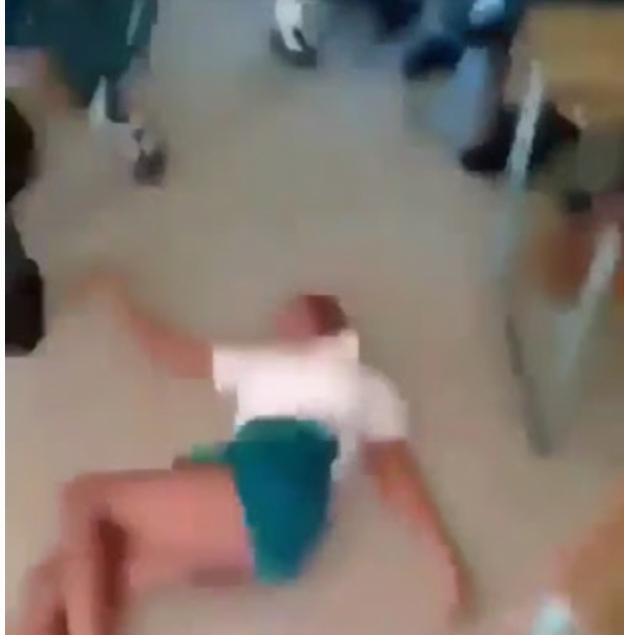 See photos of a fight between two female SHS students that left one of them unconscious
