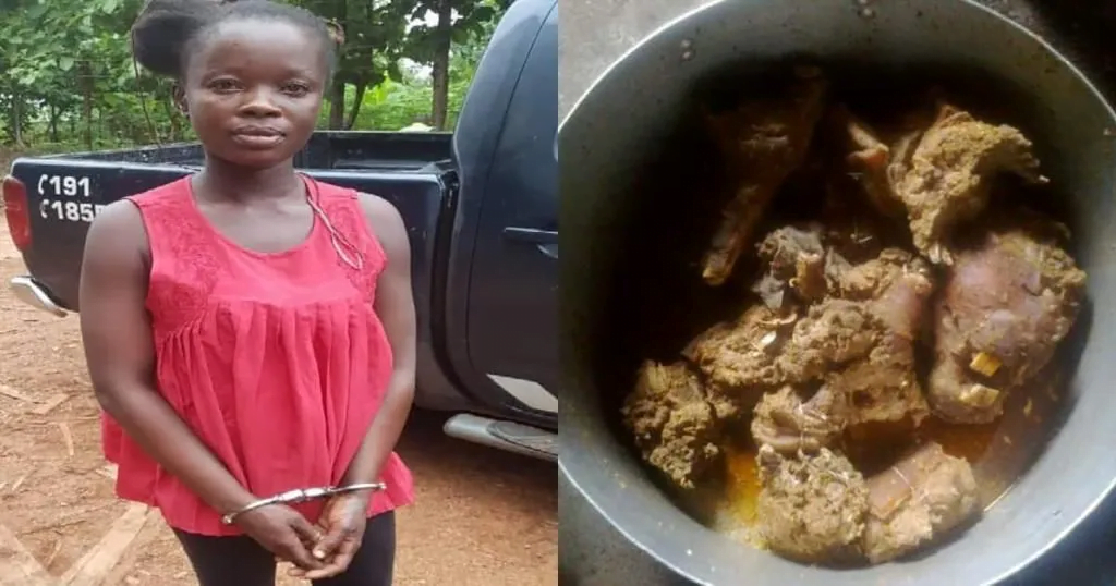 Sunyani: Lady jailed for stἆbbing her boyfriend to deἆth over grasscutter soup