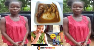 Sunyani: Lady jailed for stἆbbing her boyfriend to deἆth over grasscutter soup