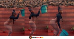 Beautiful lady with big nyἆsh causes stir online with her dance moves (watch video)