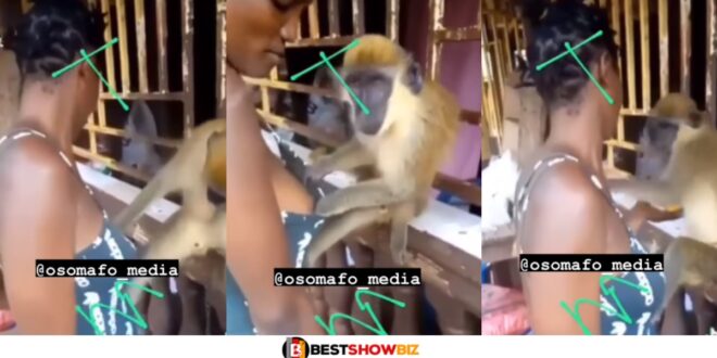 Video of a monkey playing with the private parts of a lady surfaces online (watch video)