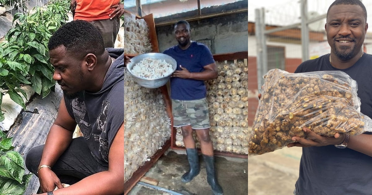 "John Dumelo will be a better president than both Nana Addo and Mahama"- Netizens praise actor for his good works in farming.