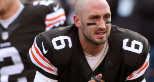 Brian Hoyer Contract, earnings, net worth, wife and stats