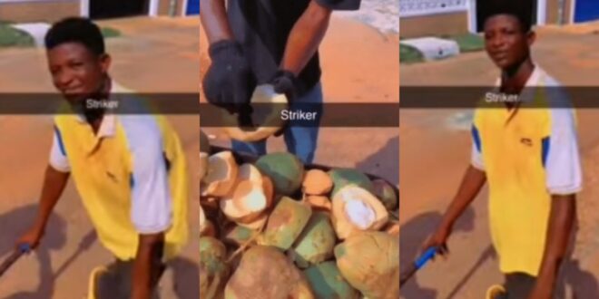 Sad news: Beast of no Nation actor Strika spotted in town selling Coconut and pushing wheelbarrow (video)