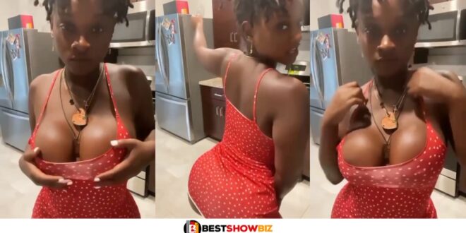 Slay queen flaunts her perfectly round b()0bs and raw nyash on social media (Watch video)