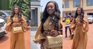 Netizens react to a video of Jackie Appiah Looking Pregnant (Watch video)