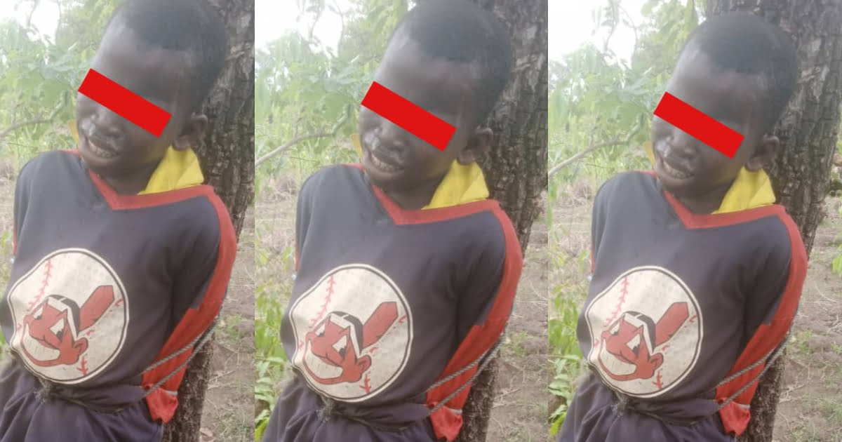 13-year-old boy tied to a tree and severely tortured for allegedly stealing GH¢800