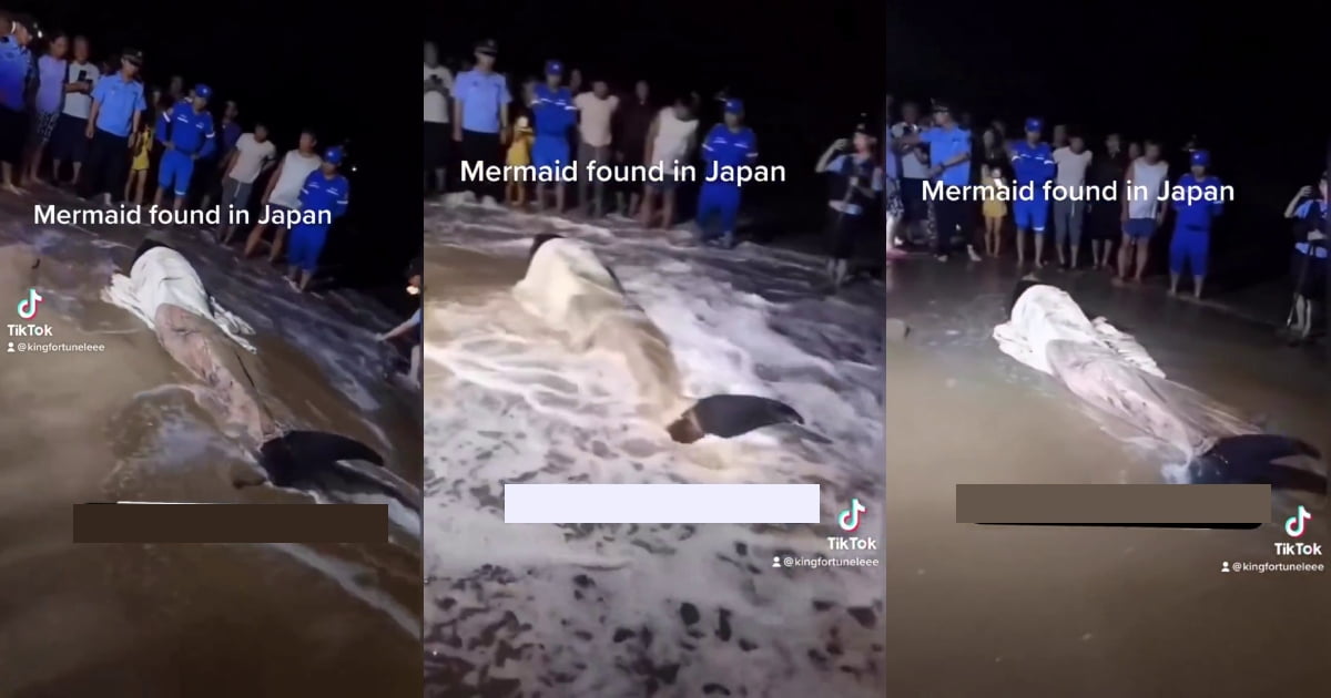 Video Go Viral As Mermaid Sighted in Japan
