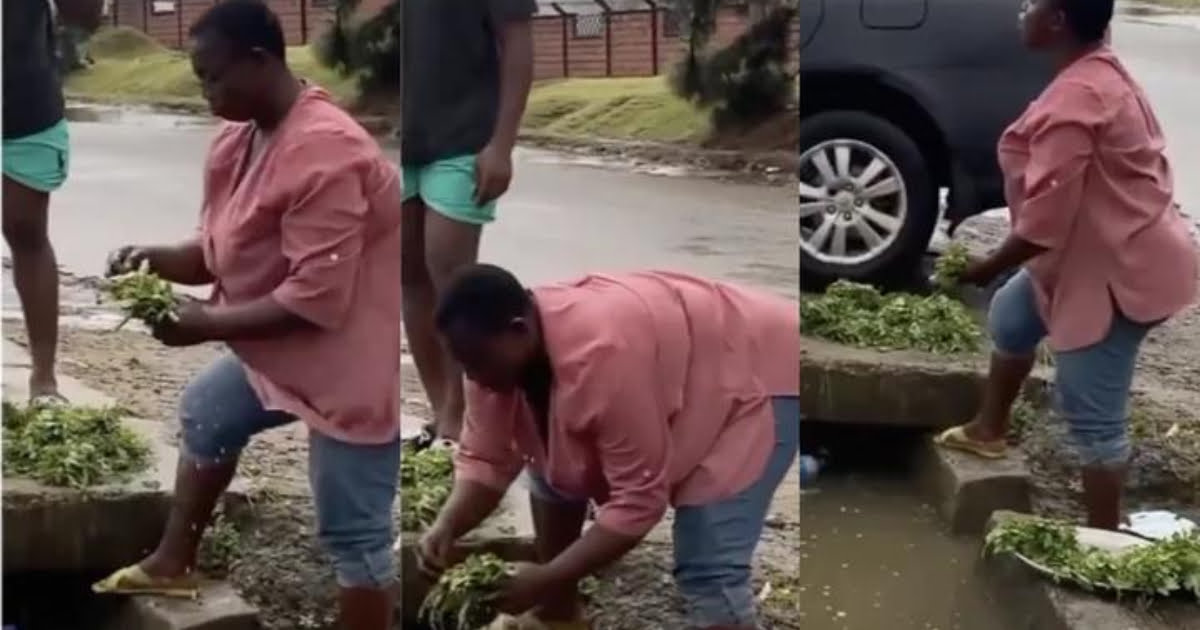 Woman spotted Washing Vegetables In A Gutter To Sell to consumers (Watch Video)