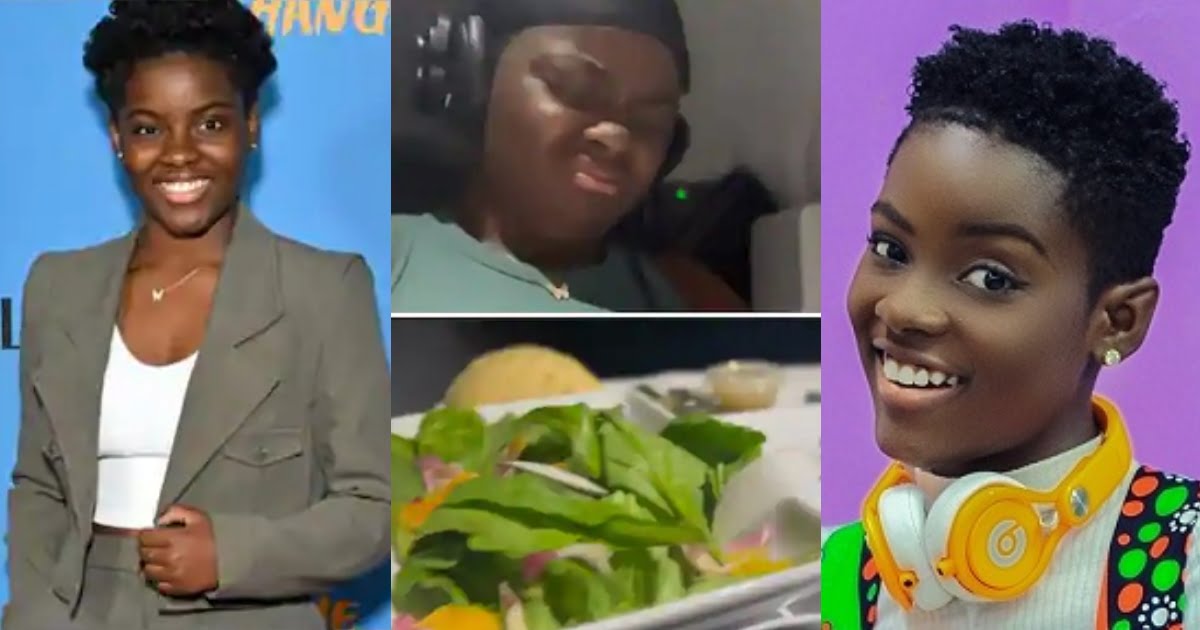 DJ Switch Cries Out As She Is Served Strange Meal In A Flight - Watch Video