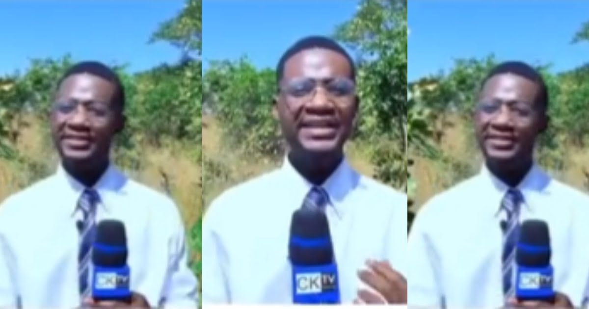 TV Presenter Runs For His Life After Seeing A Snake During Live Broadcast - Watch Video