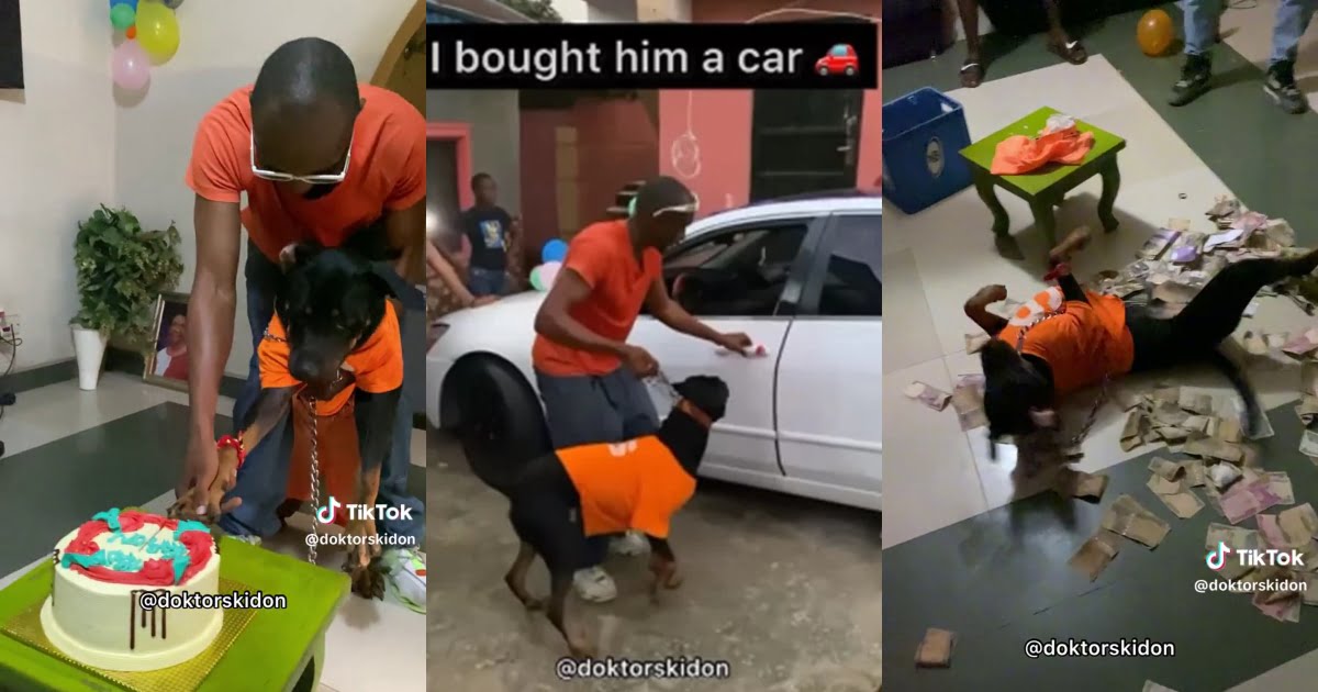 Man Gifts His Dog A Brand New Car And Throws Lavish Birthday Party for It - Video