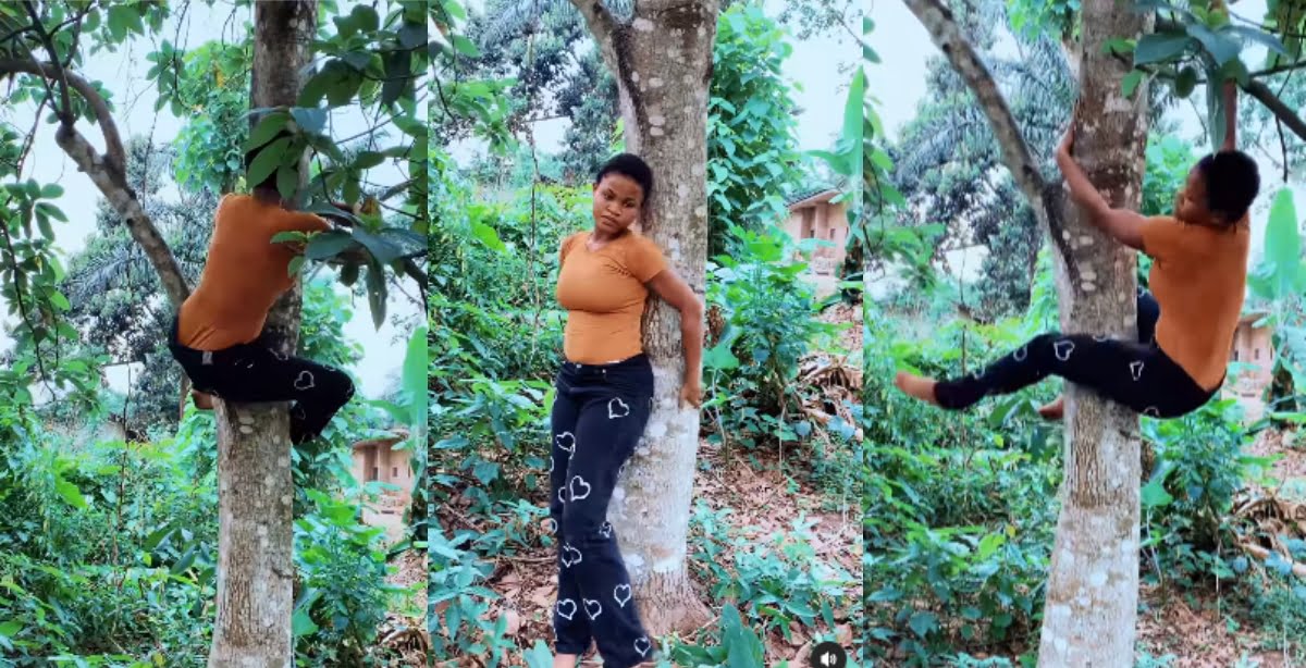 Man cries out as he catches his girlfriend on top of a big tree after taking her to his hometown - (Watch Video)