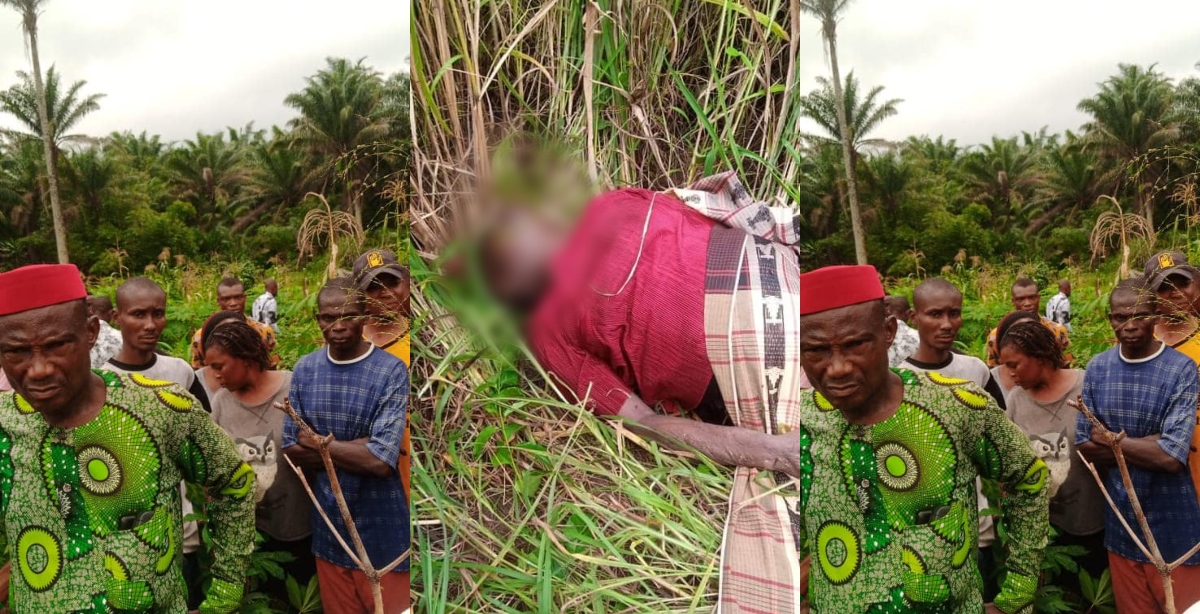 53-year-old woman allegedly rᾶped to deᾶth by Six guys on her farm - Photos