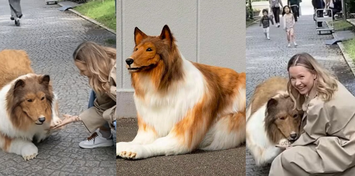 A Japanese Man Spends over $20,000 to Transform Himself Into a Dog