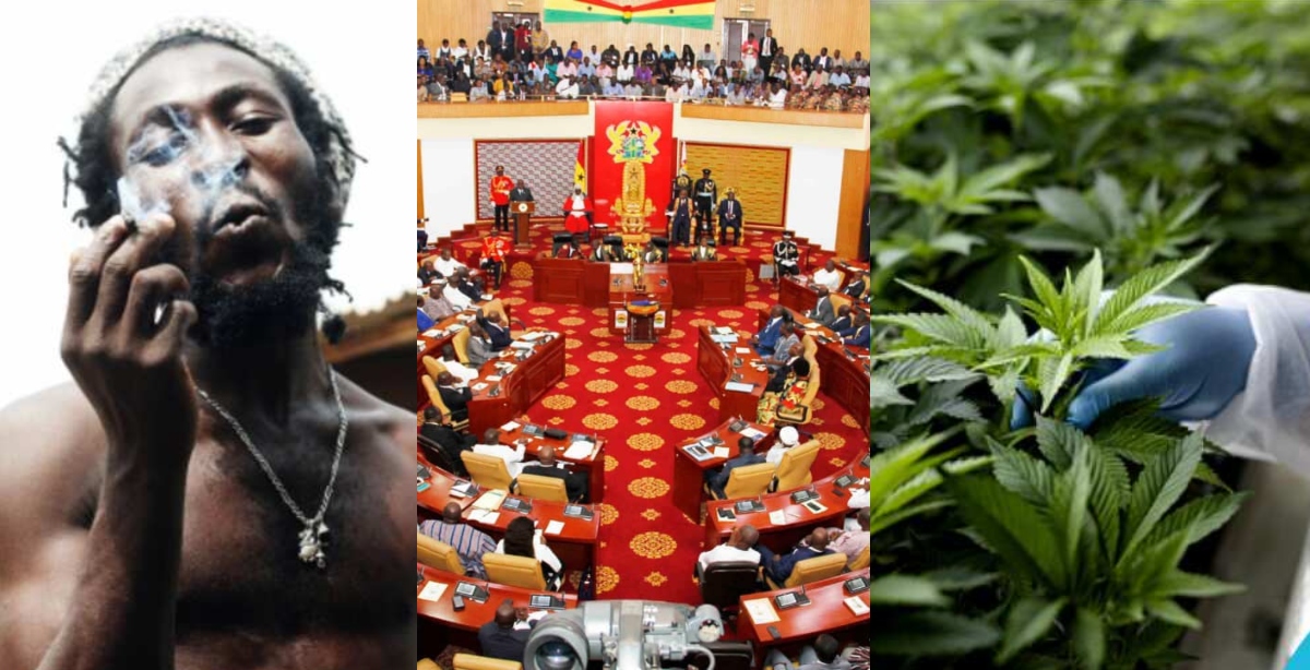 Massive Reactions As Parliament of Ghana legalizes weed for industrial and medicinal purposes