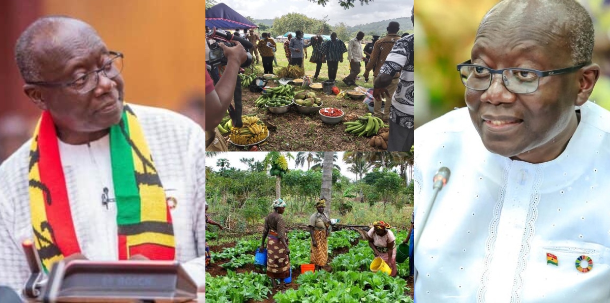 “Ghanaians Are No More Hungry Or Unemployed Because Of Planting for Food and Jobs" - Finance Minister, Ken Ofori-Atta