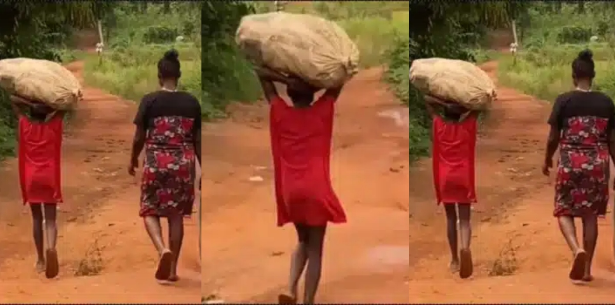 Video of a young girl carrying a heavy load while the grown-up owner walks free raises concerns - Watch Video