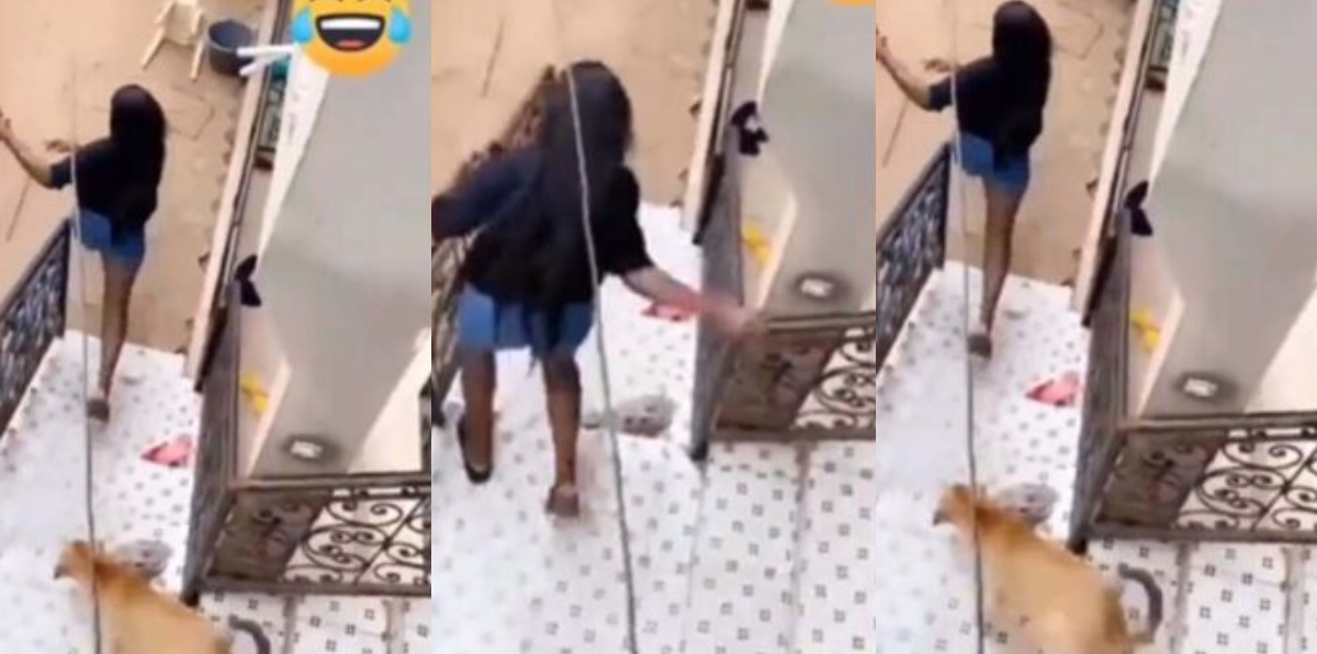 Watch video as a dog chases its owner’s ex-girlfriend after she showed up uninvited at his house