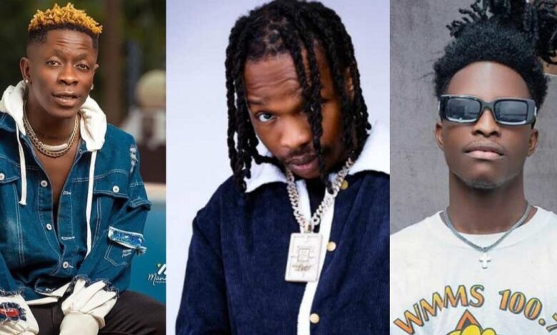 Sign Shatta Wale and Revive His Career for Us – Ghanaians Begs Naira Marley After Failure to Sign Lasmid