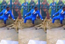 Pastor relives Daniel's moment in the bible as he enters lions’ den