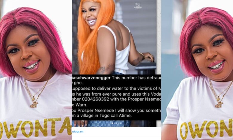 "Why Didn't You Take Your Own Water Brand, Or Your Pure Water Company Is Not Yours?" - Fans Drag Afia Schwarzеnеggеr After Claiming Everpure Water Company Defrauded Her GHc3K