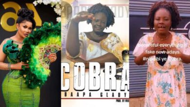 Nana Ama Mcbrown Shares The First Time Obaapa Gladys "Cobra" Hit Maker Approached Her For "Cobra" Song Promotion.