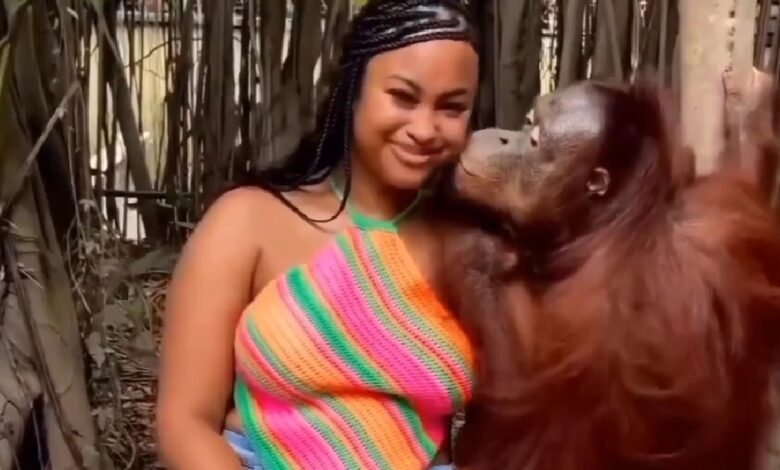 Monkey Sef Dey Enjoy: Watch How A Monkey Handles The B00bs Of A Beautiful Lady During A Photoshoot (Video)