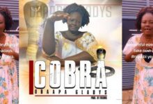 Secrets And Reasons Behind The Viral "Nipa Y3 Cobra" By Obaapa Gladys.