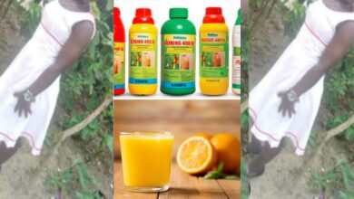Philipa Obеng A 19 Year Old And A Mother Of 1 Commits Suicide By Mixing Weedicide With Orange Juice After She Was Trolled.