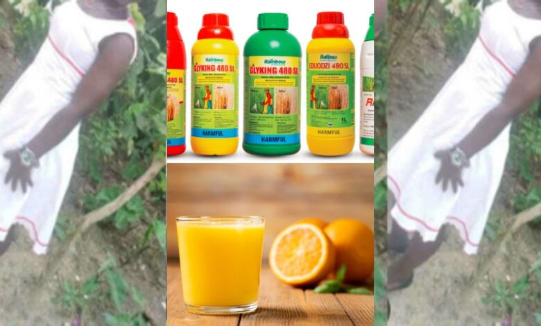 Philipa Obеng A 19 Year Old And A Mother Of 1 Commits Suicide By Mixing Weedicide With Orange Juice After She Was Trolled.