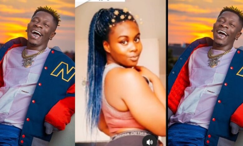 Shatta Wale Allegedly Dragged To Court By UK Based Baby Mama - Full Gist