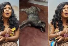 "If Your Cat Is Poisoned Then You Could Be Next" - Social Media Users Are Worried That Afia Schwarzеnеggеr Could Be In Danger