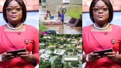 "Cant We Plead Internationally And Get Help For The Flood Victims" - Nana Yaa Brеfo Questions The Government
