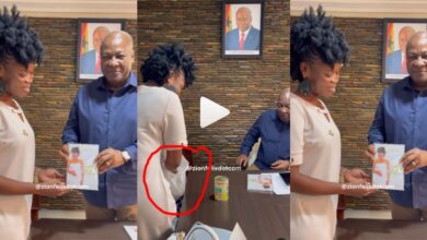 Ohemaa Woyeje Dragged Online After She Presented Mackerels To John Mahama In A Polythene Bag