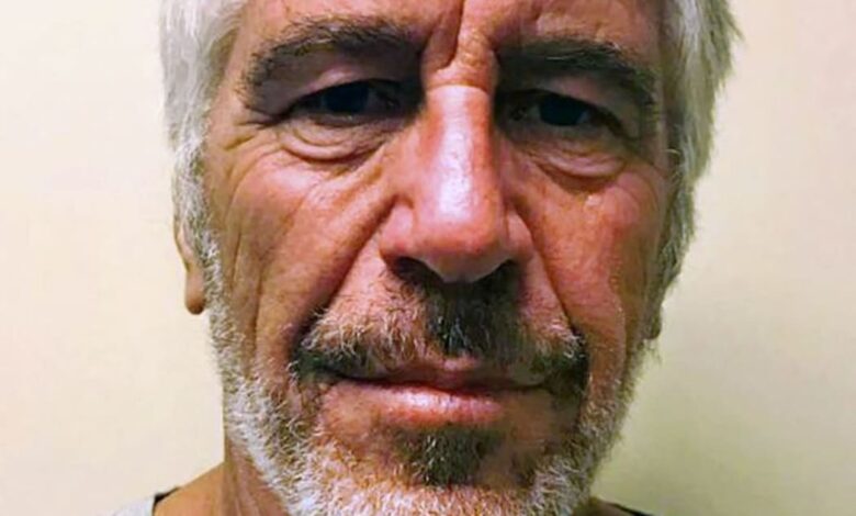 Who was Jeffrey Epstein and what are the court documents about?